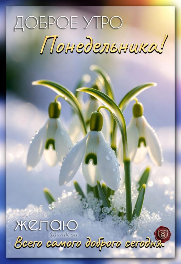 доброе утро понедельника новые