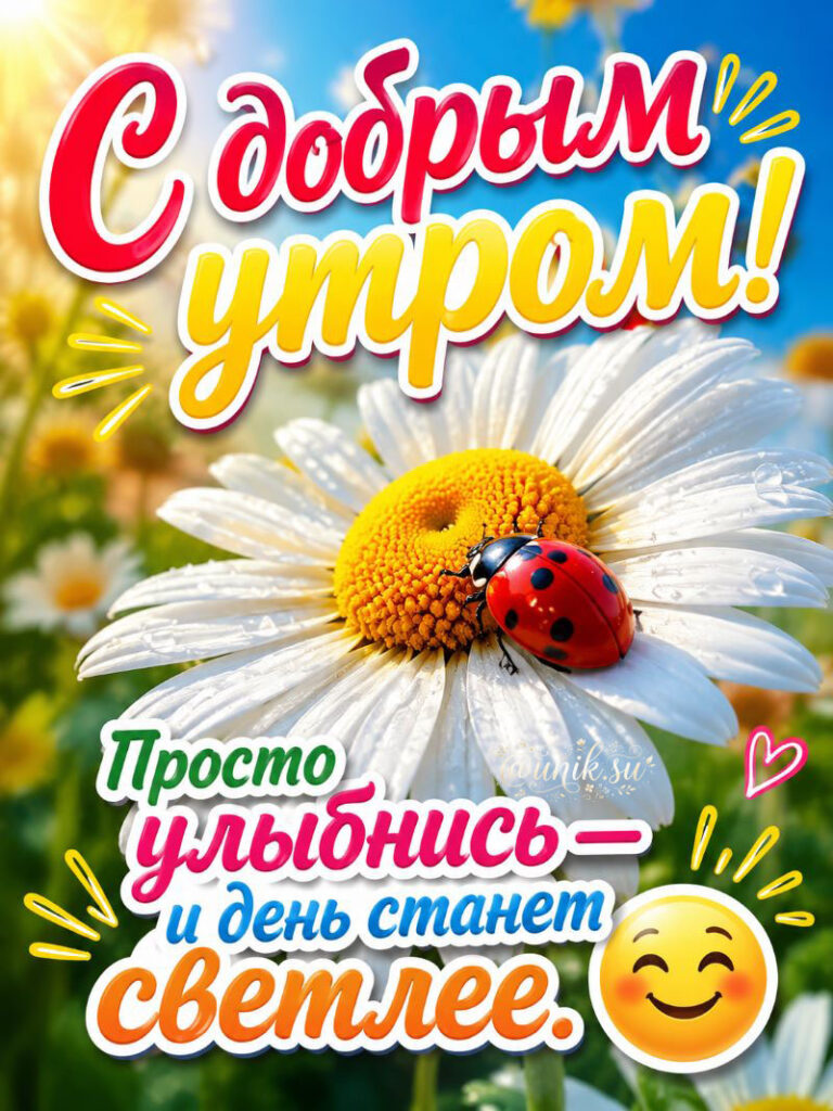 Доброе Утро Картинки с Ромашками и божьей коровкой