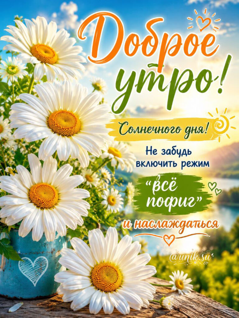 Доброе Утро Картинки с Ромашками