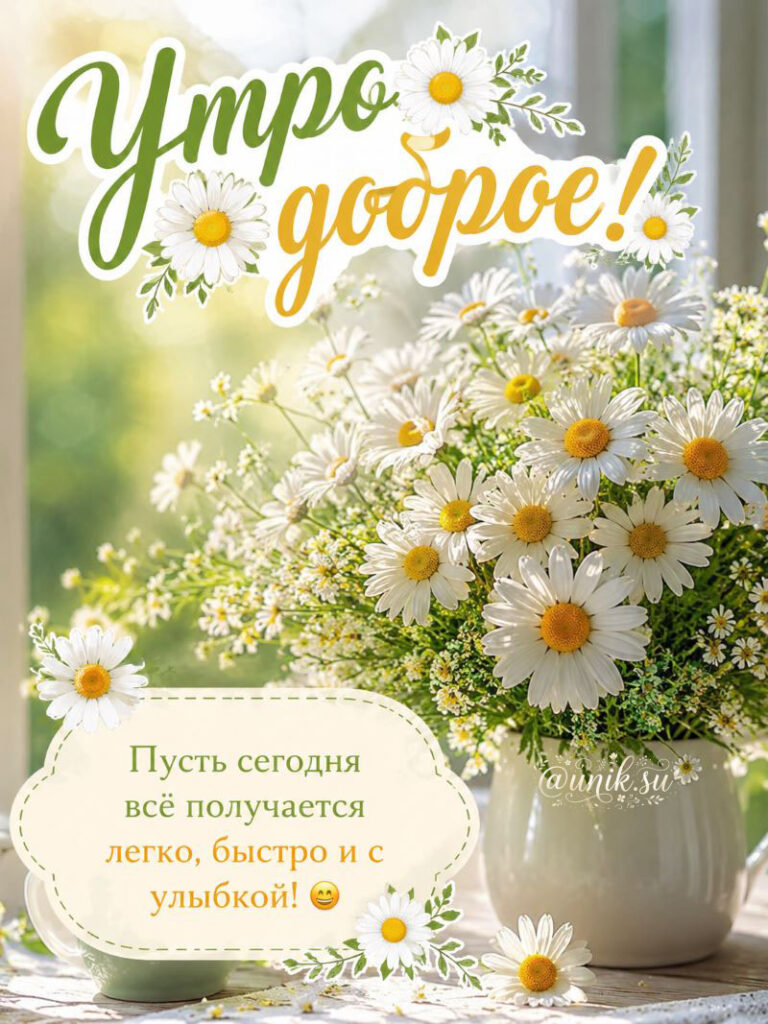 Открытки с Добрым Утром с Ромашками