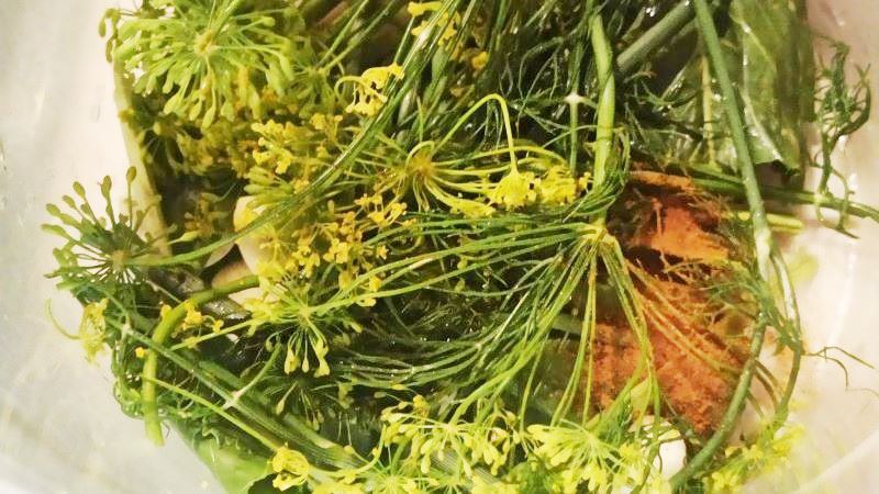 на дне банки порезанный укроп, хрен, красный перец, чеснок
