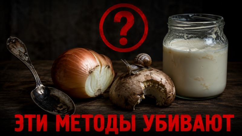 Народные методы проверки грибов опасны