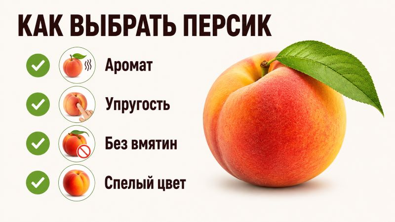 Инфографика: как выбрать спелый персик по аромату, упругости и цвету для пользы здоровью.