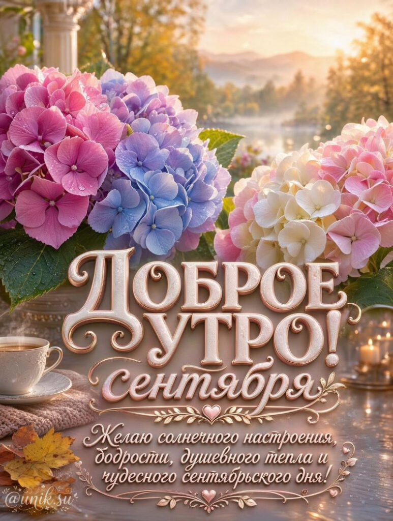 Картинки с Добрым Утром Сентябрьские Красивые с гортензией