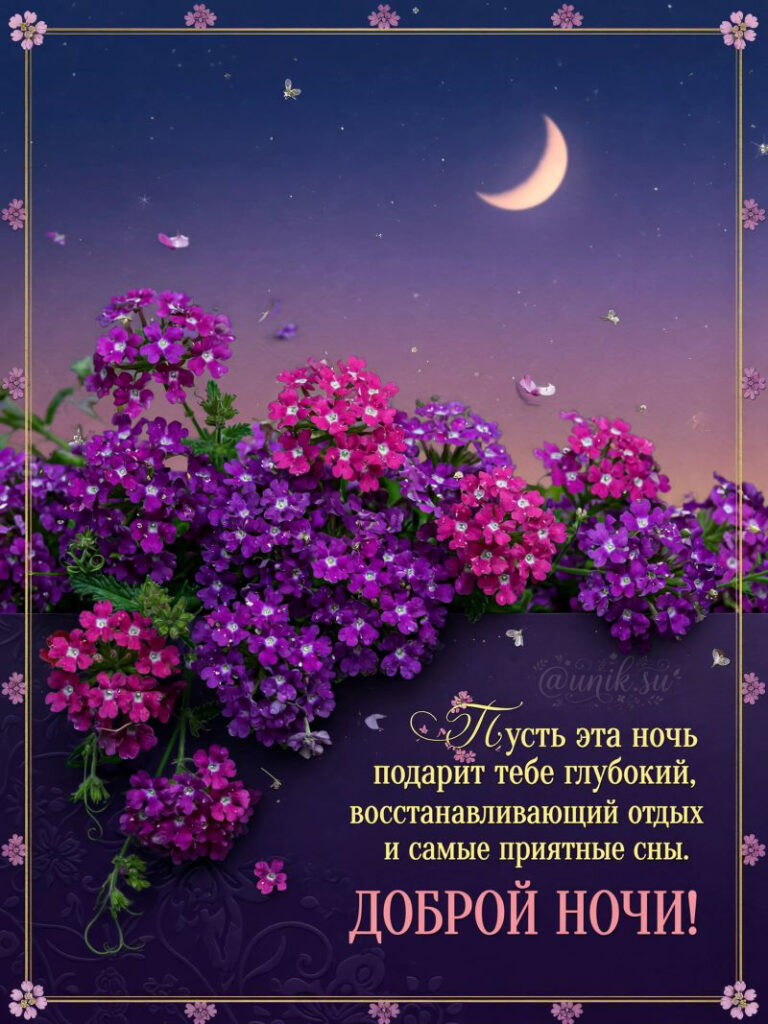 Красивые Открытки с Пожеланиями Доброй Ночи с цветами