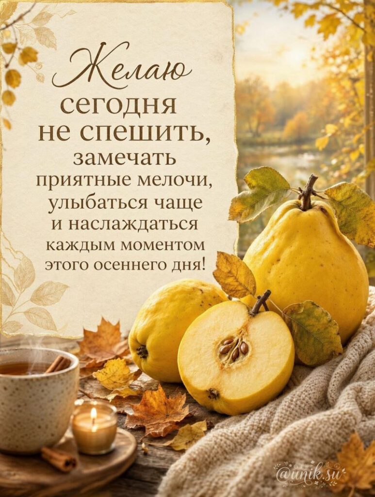 Уютная осенняя открытка с пожеланиями: спелая айва, чай с корицей и теплый плед на столе.