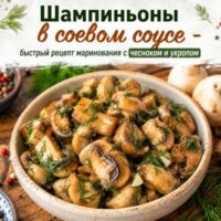 Шампиньоны в соевом соусе — быстрый рецепт маринования с чесноком и укропом