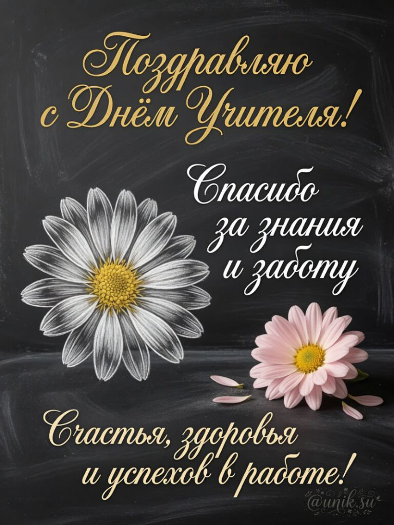 Открытка с Днём учителя: цветы и надпись «Спасибо за знания и заботу»