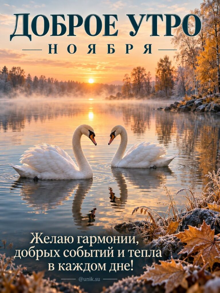 Открытка доброе утро ноября: два белых лебедя на озере на рассвете