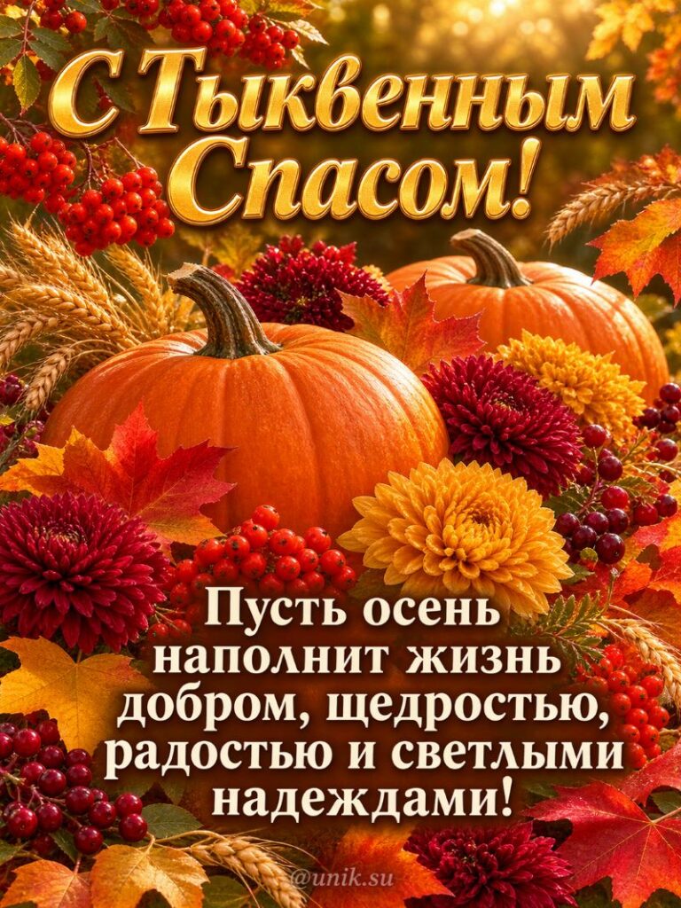 Открытка с Тыквенным Спасом: тыквы, хризантемы, рябина