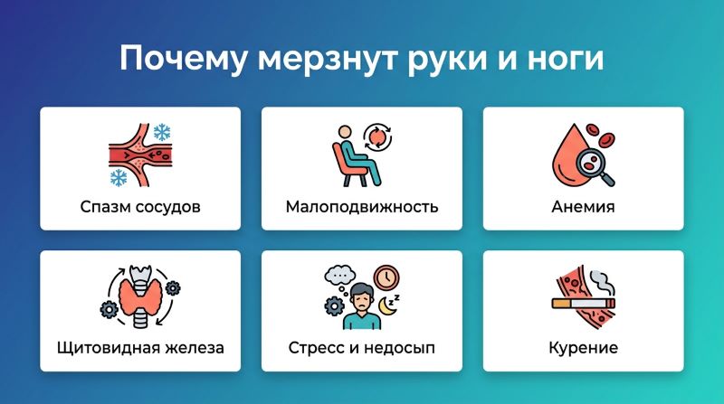 Почему мерзнут руки и ноги: 6 основных причин